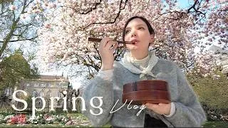 Miniature : Spring Aesthetic Vlog 🌸 Cherry Blossom Picnic & Slow Living in France