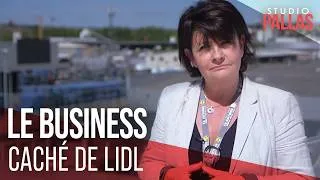 Miniature : Entre promotions et marketing : les secrets de la réussite de Lidl