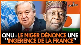 Miniature : Révélation Niger : Regards Critiques sur l'Influence Française