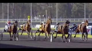 Miniature : Bye bye SulkyTV, découvrez Le TrotTV la nouvelle chaine du TROT !