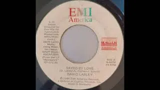 Miniature : David Lasley ~ Saved By Love