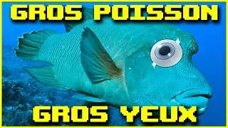 Miniature : La vengeance qui sent le poisson #196 Isaac Repentance 200%