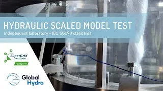 Miniature : Hydraulic scaled model test for Global Hydro