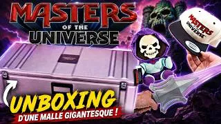 Miniature : Haul Masters of the Universe Une Box Collector IMMENSE de FOUS pleine à craquer !