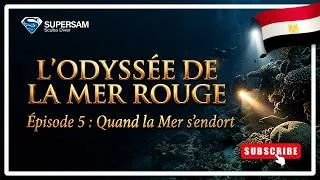 Miniature : L’Odyssée de la Mer Rouge — Épisode 5 : Quand la Mer s’endort | Ras Umm Sid - Night Dive
