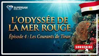 Miniature : L’Odyssée de la Mer Rouge — Épisode 4 : Les Courants de Tiran | Jackson & Gordon Reef