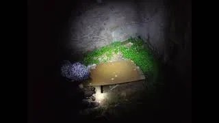 Miniature : 1ER MINI URBEX FEAT NICO