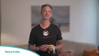 Miniature : Pierre - présentation