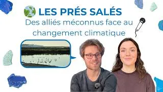 Miniature : Les prés salés : des alliés méconnus face au changement climatique