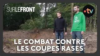 Miniature : Forêts françaises : le combat contre les coupes rases - Sur le front avec Hugo Clément