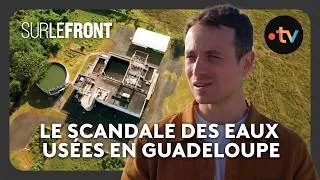 Miniature : Guadeloupe : les stations d’épuration défaillantes menacent les coraux - Sur le front
