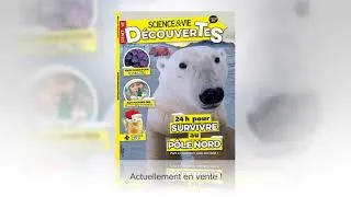 Miniature : Votre nouveau Science&Vie Découvertes n°264 est arrivé : découvrez-le vite !