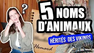 Miniature : 5 NOMS D'ANIMAUX issus de langues nordiques (Partie 2)