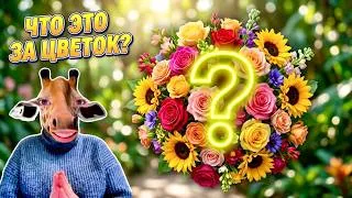 Miniature : Викторина: «Цветочный мир»
