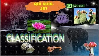 Miniature : Comment classer les êtres vivants كيف نصنف الكائنات الحية#comment_classer_les_etres_vivants_تصنيف