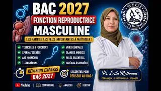 Miniature : Bac SVT 📚 Fonction reproductrice masculine : les parties essentielles à maîtriser | Notebook LM