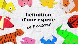 Miniature : Qu'est-ce qu'une espèce ? Version origami à commenter 🦊📄 / Cycle 3 / 6ème