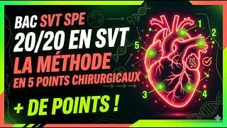 Miniature : BAC SVT 2026 arrête d'apprendre par ❤️ et fais ça à la place !