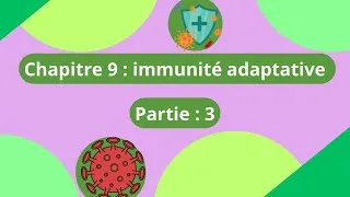 Miniature : Immunité adaptative: partie 3, le rôle central, des LT4