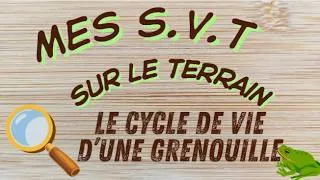 Miniature : Mes S.V.T sur le Terrain-Cycle de vie d'une grenouille