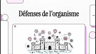 Miniature : Les défenses de l'organisme (vidéo ia à partir de mon cours)