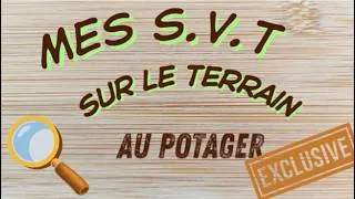 Miniature : Mes S.V.T sur le Terrain: Au potager