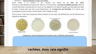 Miniature : 5C03L01E