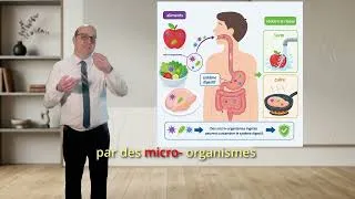 Miniature : 5C03L01S02 la contamination premiere étape d'une maladie