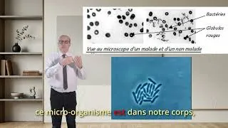Miniature : 5C03L01S01 les oignons ne soignent pas du tout