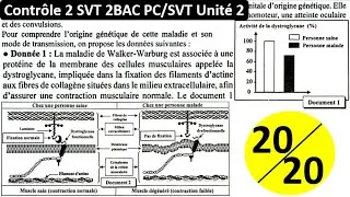 Miniature : Controle 2 svt 2bac pc unité 2 génétique (شرح بالداريجة)