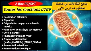 Miniature : Résumé ATP toutes les réactions d'ATP 2bac PC/SVT (حفضهوم)
