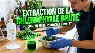 Miniature : COMMENT EXTRAIRE LA CHLOROPHYLLE ? (Protocole Complet & Fascinant)