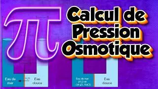 Miniature : Calcul de pression osmotique – Exercice corrigé | Première Bac BIOF