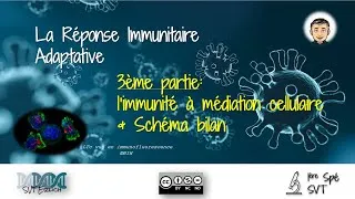 Miniature : [SVT-Erlich] 1ère Spé - L'immunité adaptative (Partie #3)