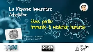 Miniature : [SVT-Erlich] 1ère Spé - L'immunité adaptative (Partie #2)