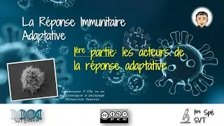 Miniature : [SVT-Erlich] 1ère Spé - L'immunité adaptative (Partie #1)
