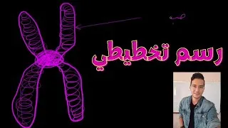 Miniature : رسم تخطيطي لصبغي من المرحلة الإستوائية