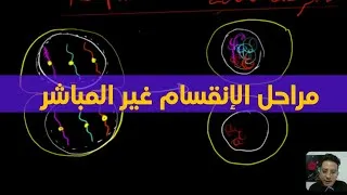 Miniature : SVT | الثانية باك | الدرس 2: الإنقسام غير المباشر : ج2 - المراحل