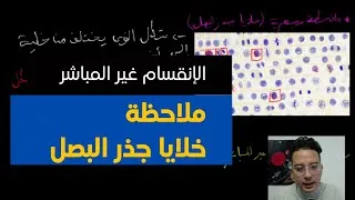 Miniature : SVT | الثانية باك | الدرس 2: الإنقسام غير المباشر :  ج1 الكشف عن الظاهرة