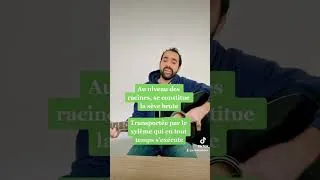Miniature : Chanson échanges au sein de la plantes