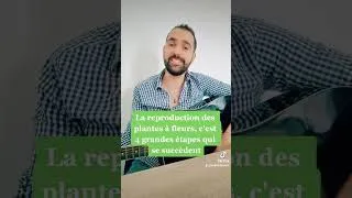 Miniature : Chanson reproduction plantes