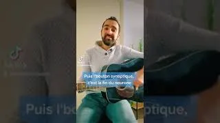 Miniature : Chanson Neurones