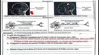 Miniature : (Correction) Examen régional de Drâa-Tafilalet 2025 SVT
