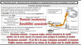 Miniature : 3AC - (Correction) Examen régional Rabat - Salé - Kénitra 2025 SVT