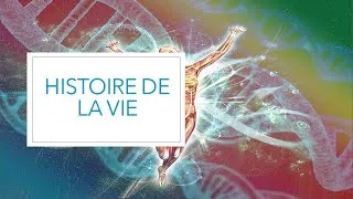 Miniature : L'histoire de la vie ( Cours de SVT )