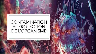 Miniature : Contamination et protection de l'organisme ( Cours de SVT )