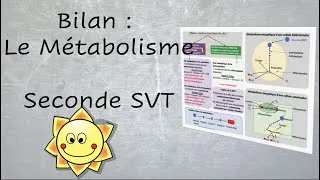 Miniature : Le Métabolisme des cellules - Fiche Bilan Seconde SVT