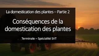 Miniature : Cours Spé SVT Terminale - Conséquences de la domestication des plantes