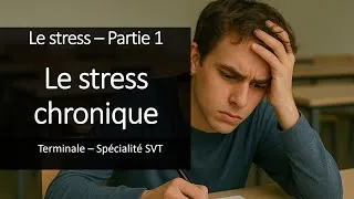 Miniature : Cours Spé SVT Terminale - Le stress chronique