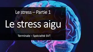 Miniature : Cours Spé SVT Terminale - Le stress aigu